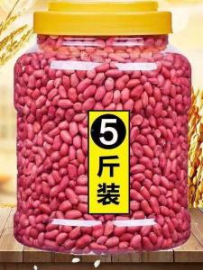 Fresh Top Grade Original Flavored Red Skin Peanuts