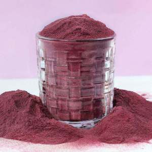 Organic Wild Blueberry Powder Freeze-Dried No Sugar 250g