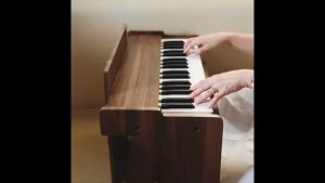 เด็กเดือน 6-6ขวบ พร้อมสมุดโน้ตเพลง เปียโนเด็ก เปียโนไม้ Riczac