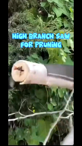 เลื่อยยืดไสลด์สาขาสูง เลื่อยตัดกิ่งไม้ SK5 ขยายความ ปรับได้ 4-10ม เครื่องมือตัดแต่งกิ่งพืช เลื่อยด้วยมือ เลื่อยพับ เลื่อยโค้งตัดกิ่งไม้ ฟันพิเศษ ใบเลื่อยตะขอคู่ เลื่อยตัดแต่งกิ่งไม้ผลสวน เลื่อยตัดกิ่ง เลื่อยมือแต่งกิ่งไผ่ เลื่อยตัดกิ่งไม้สูง ไม่เป็นสนิม