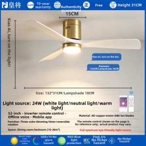 HUANGJIANG | Inverter Home Fan Light
