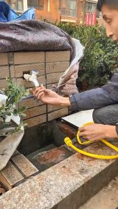 อเนกประสงค์ ปืนฉีดน้ำแรงดันสูง ล้างรถ รดน้ำต้นไม้ ใช้ในที่ที่มีแรงดันสูง พร้อมอุปกรณ์ข้อต่อ3ชิ้น+สายยาง(10M/15M)ปรับระดับน้ำได้ ล้างรถ ล้างพื้น รดน้ำ