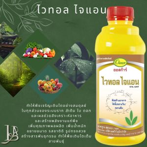 ไวทอลไจแอน ขนาด 1 ลิตร สร้างอาหาร ได้ทั้งกลางวัน  และ กลางคืน  #แอลเจอะโกร