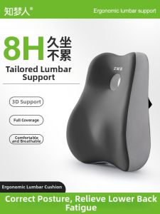 ZHIMENGREN | Lumbar Support Back Support