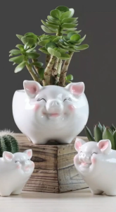 Chậu sứ trồng sen đá mini cây xương rồng hình heo có lỗ thoát nước cute cực xinh