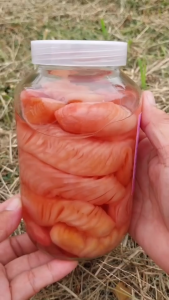 ขิงอ่อนดองสามรส2 ขิงอ่อนดองเต้าเจี้ยว1 คุณยายแอ๋ว สินค้าOTOP เนื้อขิงอ่อน 400กรัม | ส่งฟรี