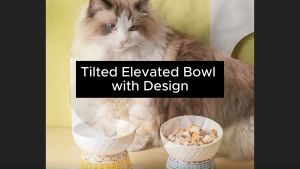 New Elegant Ceramic Elevated Pet Bowl - Anti-Vomiting Tilted Design for Cats & Small Dogs