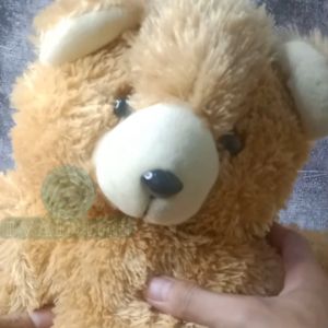 Tas Ransel Boneka Beruang TEDDY BEAR Large 50 CM Anak dan Dewasa