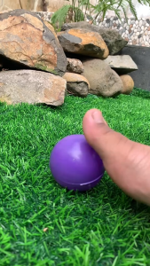 2m*1m Rumput Sintetis Meteran Rumput Plastik Rumput Buatan Karpet Rumput Sintetis Tahan Lama Anti Air Realistis Aman Untuk Anak Hewan Mudah Dipasang Bebas Perawatan Untuk Taman Dekorasi Rumah Kandang Hewan Outdoor