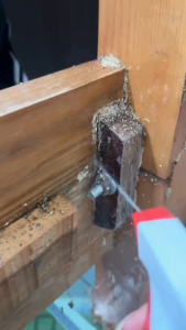 Powerful Termite Killer Spray 1L – Anti Termite Treatment for Wood Furniture Floor & House