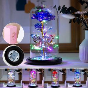 2022 LED Enchanted Galaxy Rose Eternal 24K Gold Foil Flower with Fairy String Lights In Dome for Christmas Valentines Day Gift