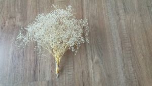 ยิปซี สีขาว ช่อมินิ Gypsophila 20 cm. ดอกไม้แห้ง หญ้าแห้งตกแต่ง ช่อดอกไม้แห้ง ดอกไม้จริง พร้อพถ่ายรูป
