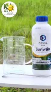 เจนวาย ซิงค์พลัส 1L. (สังกะสี สูตรเข้มข้น ) รูปแบบน้ำใส ลดอาการใบแก้ว ใบเหลือง ใบหงิกได้ดี เพิ่มการสังเคราะห์แสง พืชใบเขียวสมบูรณ์ พืชทนทานต่อสภาพอากาศร้อนจัด เย็นจัดได้ดีขึ้น