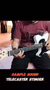 Gitar Elektrik Telecaster Stinger