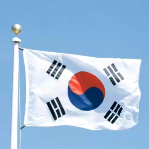 90x150cm Polyester Korean Flag Screen Printed National Flag with Grommets