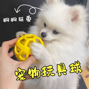 Dog And Cat Teeth Grinding Toy Ball Hollow out Sound Producing Pet Plaything Consumes Energy Great for Puppies And Kittens