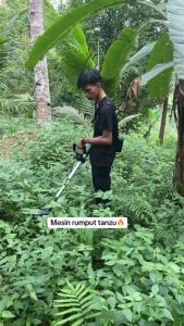 🔥 TANZU 21V Lawn Mower Brushless  Mesin Potong Rumput Mesin Pemotong Rumput Listrik Pemangkas Rumput dengan Baterai Li-ion