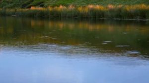 ส่งจากประเทศไทย: คันเบ็ดตกปลาสปินนิ่ง 1.8 ม. 2 ส่วน M คันเบ็ดตกปลาไฟฟ้า EVA 12 ชั่วโมง จับคันเบ็ดตกปลาสำหรับน้ำเค็มและน้ำจืดเครื่องมือตก