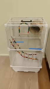 GREENPETS Bird Cage Large Space Parrot Cockatiel Myna Bird Lovebird Cage Double Layer Pet Cage Full Set