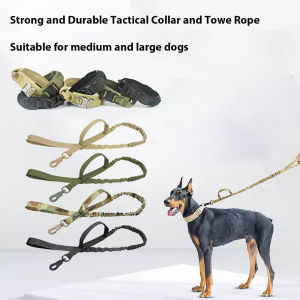 Mojioo การฝึกปลอกคอสุนัขกับหัวเข็มขัดงูเห่าหนัก-ป้องกันการดึงสายจูงสุนัขแบบปรับได้สำหรับสุนัขขนาดกลาง/ใหญ่สะท้อนแสง & ทนทาน (M/L/XL)