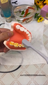 Kem đánh răng làm trắng Niacinamide 100g Làm sạch răng sảng khoái cho nam và nữ Kem đánh răng hơi thở thơm mát để loại bỏ vết ố răng Chăm sóc răng miệng Vệ sinh sạch sẽ