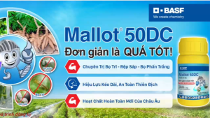 Thuốc sinh học Mallot 50DC - Chai 100ml | Chính hãng BASF | Chuyên trị rầy rệp chích hút