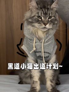 Warm Fleece Lined Cat Dog Winter Clothes Anti Shedding Cute Small Dog Pet Apparel Autumn Winter Seasonal Thermal Cat Clothes