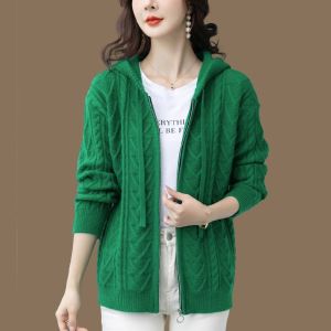 Thickened Spring Autumn Hooded Knitted Jacket Womens Loose Fashionable All-Match Top Winter Knitwear Sweater Long Sleeve