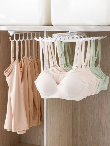 Built-In Slide Wardrobe & Pull-Out Clothes Hanger: A Multi-Function Storage Solution