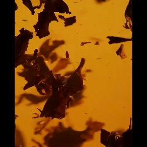 The Bath Box Ocha Liquid Soap 300ml