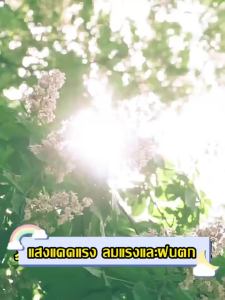 🔥ผ้าออกซ์ฟอร์ดที่หนาขึ้น🔥ผ้าคลุมรถ ผ้าคลุมรถยนต์ ผ้าคลุมรถเก๋ง กันใบไม้ร่วงกันมูลนกกันฝ กันรังสี UV กันน้ำ100 ใช้คลุมรถเก๋ง ผ้าคลุมรถครึ่งคัน