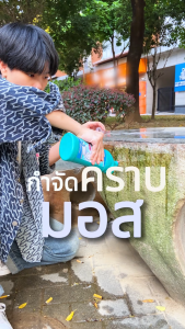 [โปรโมชั่น 2 กล่องเซ็ต] Fuoroçe พร้อม FDA รับรอง น้ำยาล้างโถสุขภัณฑ์ ฆ่าเชื้อไวรัส 99.9% 1 นาทีเห็นผล! สูตรเข้มข้น 2 เท่า ใช้ได้ทั้งครอบครัว ไม่ต้องขัดถู-ไม่เหนื่อย ลดเวลาทำความสะอาด 50%+ส่งฟรี COD