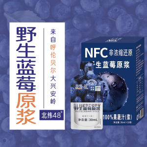 48 North Latitude Wild Blueberry Puree Non-Concentrated Flavored Fruit Nectar Boxed Snacks/Nuts/Local Specialties