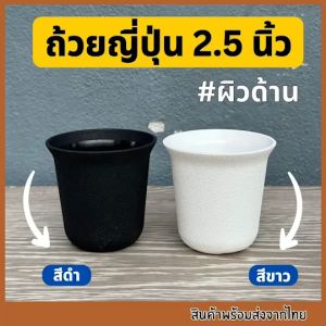 กระถางถ้วยญี่ปุ่น2.5นิ้ว กระถางทรงญี่ปุ่น กระถางถ้วยสูง กระถาง2.5นิ้ว  กระถางแคคตัส กระถางกระบองเพชร
