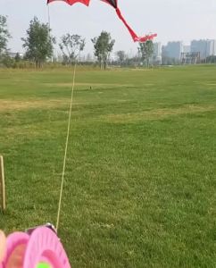 160cm Bat kite fly toy for adults kite outdoor game beach kite children kite 3d kite wind foil kite papalotes dragon kite fish