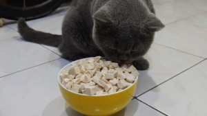 Freeze Dried Pet Food 500g Chicken Premium Quality Cat and Dog Food FULL BUBBLE WRAP PACKING