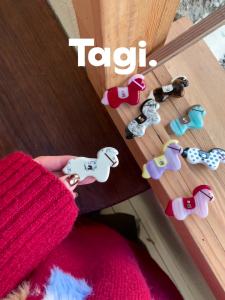 Tagi. Magi Hairpin