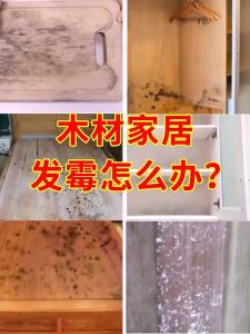 OUHENG | Mold and Mildew Remover for Wood Furniture