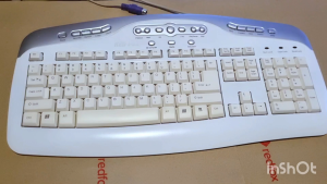 REDFOX KEYBOARD PS2 RCKMWS