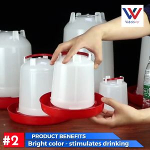 6L Continuous Chick Drinker: A Comprehensive Guide