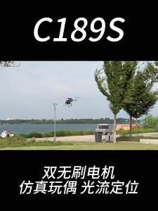 New C189S 1:28 Dual Motor Brushless Remote Control Helicopter MD500 Bird Model Aircraft With Soldier Figure Simulated RC REA Toy