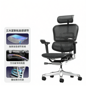 Ergonor | Premium Human Engineering Office Chair