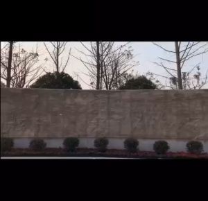 Payung Manual dan Otomatis Buka Lipat Payung Anti UV Panas Matahari Hujan Polos Elegan Modis PREMIUM