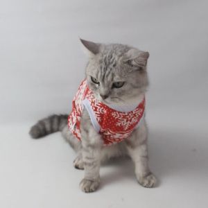Baju Kucing Anjing Natal Cewek Cowo Lucu Murah Gratis Ongkir - Buki Meowy Christmas Tank