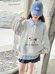 MPW | Girls Fashionable Embroidered Sweatshirt Spring Autumn Wear Ages 3-14 Comfortable Loose Fit Long Sleeve Crew Neck Pullover