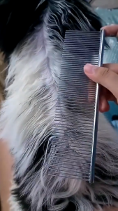 Comb Suklay Hair Brush Pet Cat Dog Long and Short Haired Dog Cat Stainless steel Grooming Tool