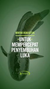 IKAN KUTUK/GABUS Obat Herbal Pasca Operasi Tazakka HALAL BPOM isi 60 kapsul