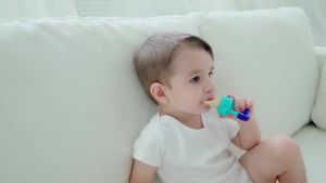 Happily Baby Feeding Nipple for Newborn Baby Fruit Feeder Baby Food Grade Silicone Pacifier for Baby1/4pcs