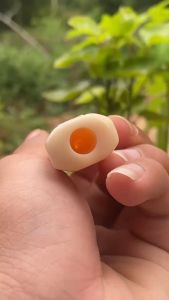 Pipa Segilapan Lokal Panjang 12cm: Manfaat dan Cara Menggunakannya