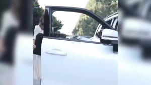 Jaecoo J6 6 Privacy Curtain Side Window Visor Thermal Insulation Sun Shade Sun Shade Front Sunshade